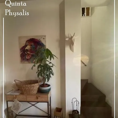 Boutique Quinta Physalis Apartment Fenais da Luz Exterior photo
